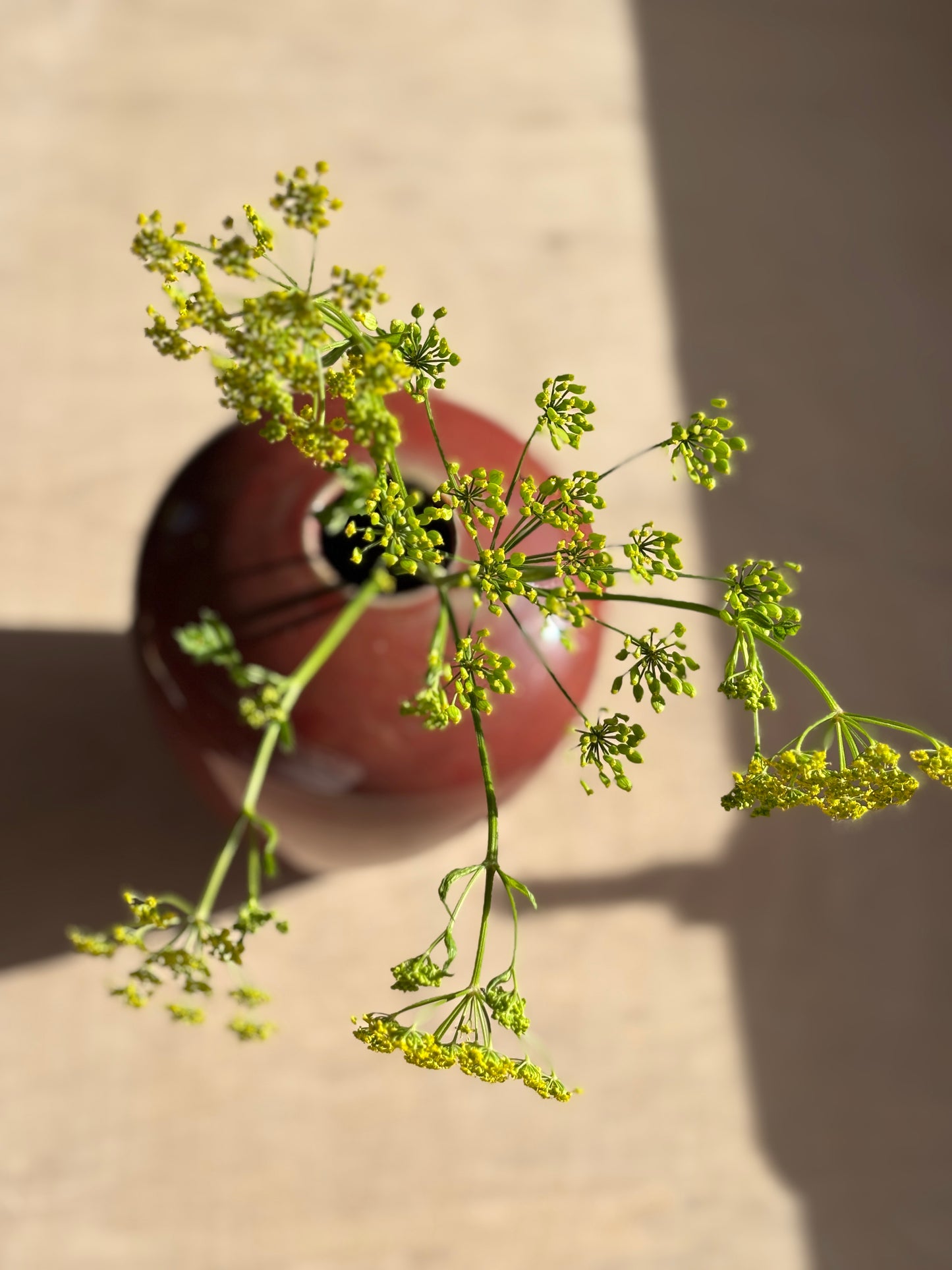 Stem Vase