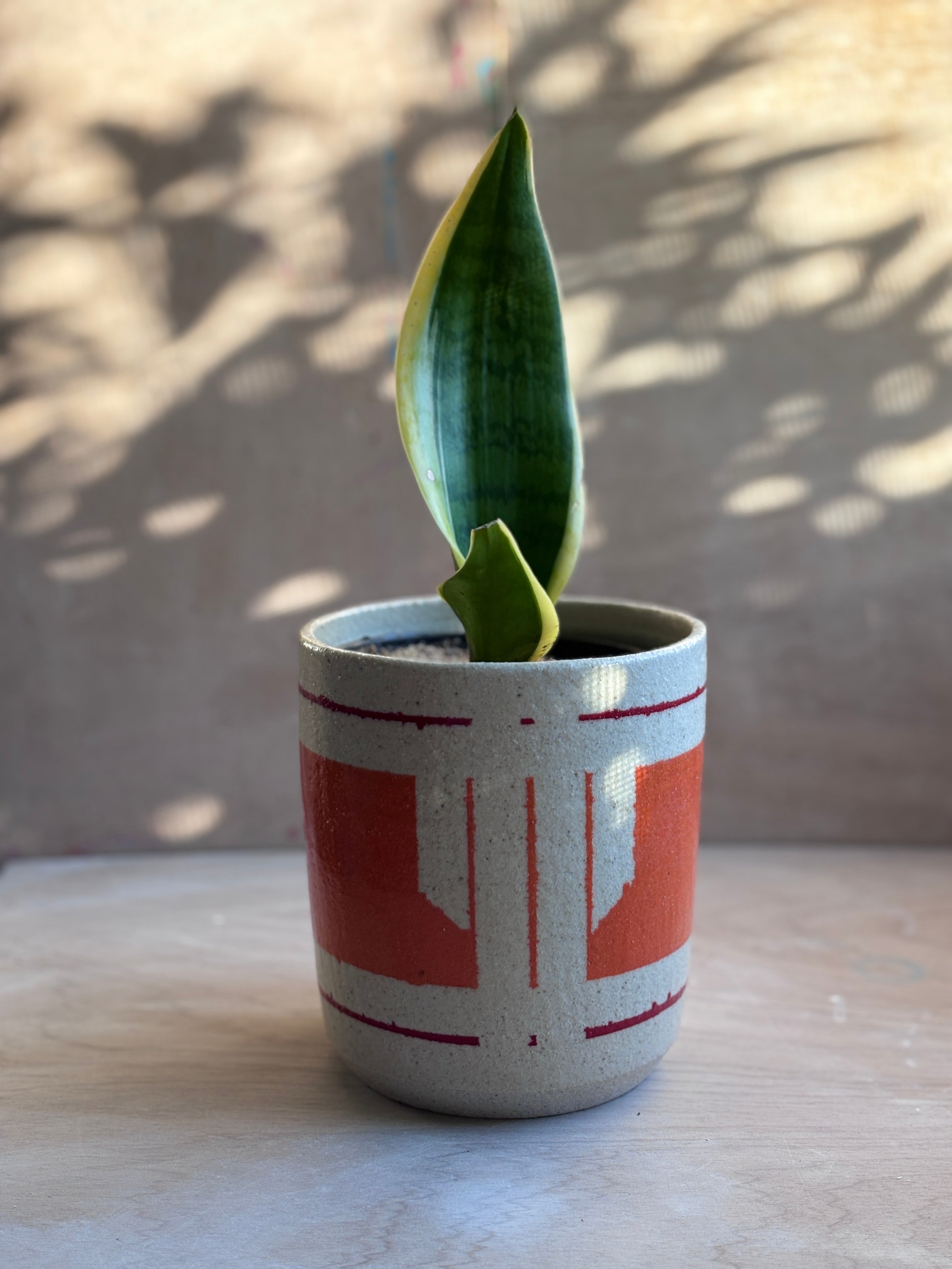 Planter Pots